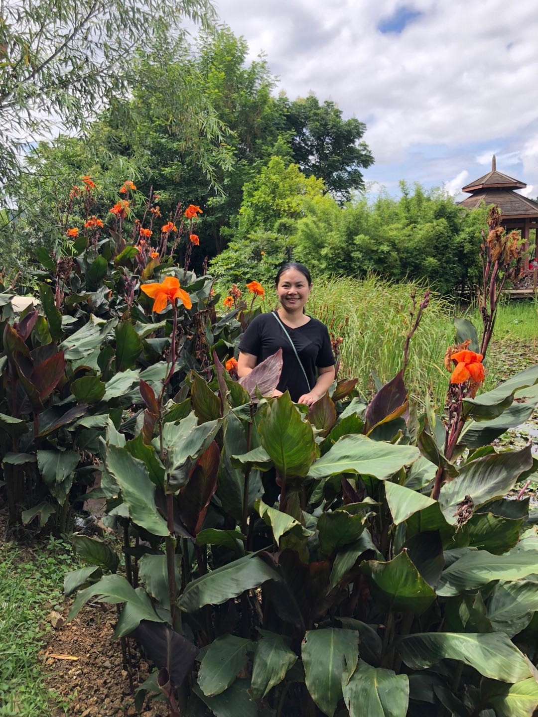 必赢线路检测3003no1