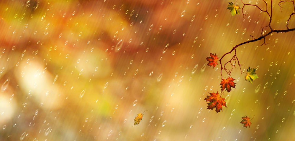 必赢线路检测3003no1