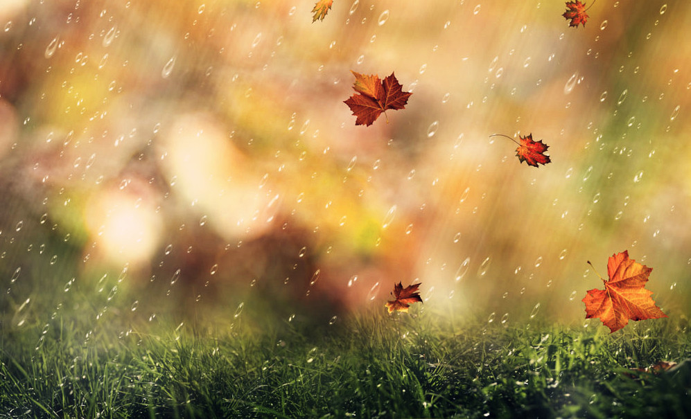 必赢线路检测3003no1