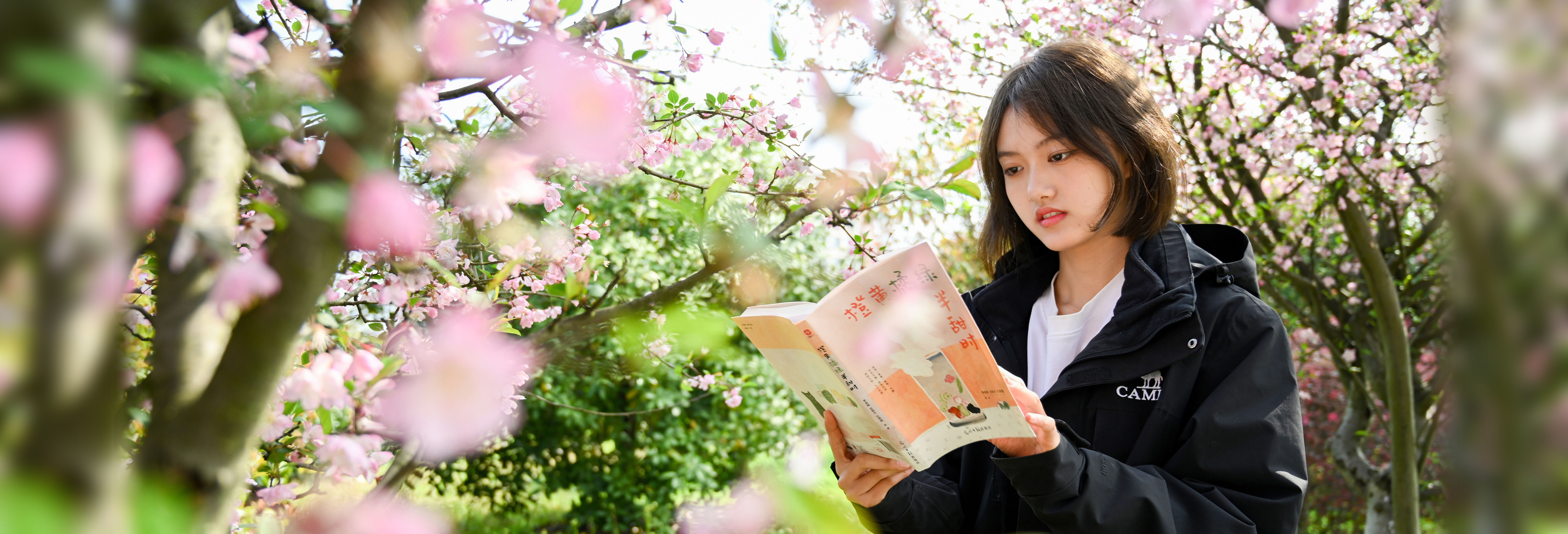 必赢线路检测3003no1